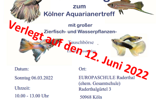Börse in Köln am 12.06.2022