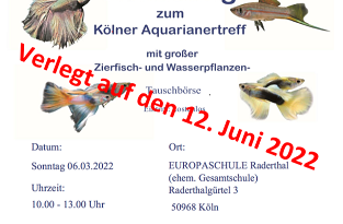 Börse in Köln am 12.06.2022 Börse in Köln am 12.06.2022