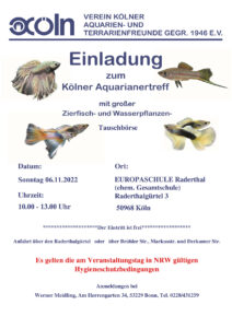 Börsenplakat Köln