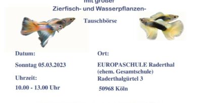 Zierfisch und Pflanzenbörse in Köln 05.03.2023 Zierfisch und Pflanzenbörse in Köln 05.03.2023