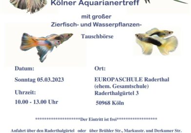 Zierfisch und Pflanzenbörse in Köln 05.03.2023